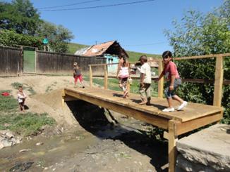 Pedestrian Bridges Albesti 2015