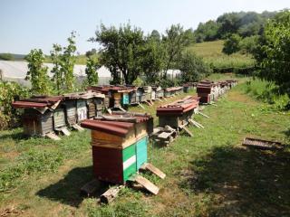 Koop honing en steun onze projecten